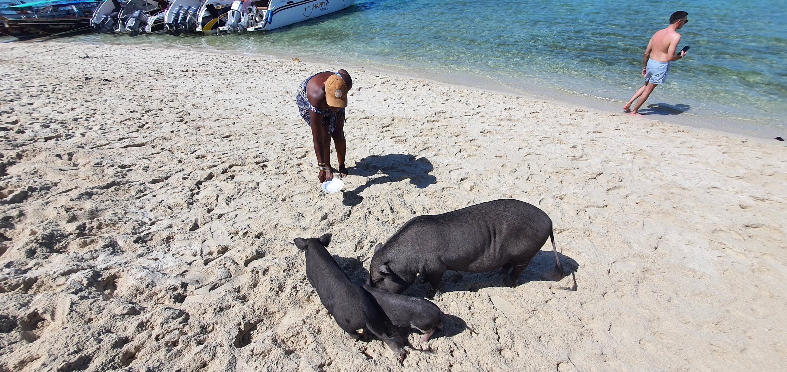 Hébergement bien-être